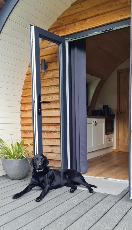 Eastridge Glamping Pods שרוסברי מראה חיצוני תמונה
